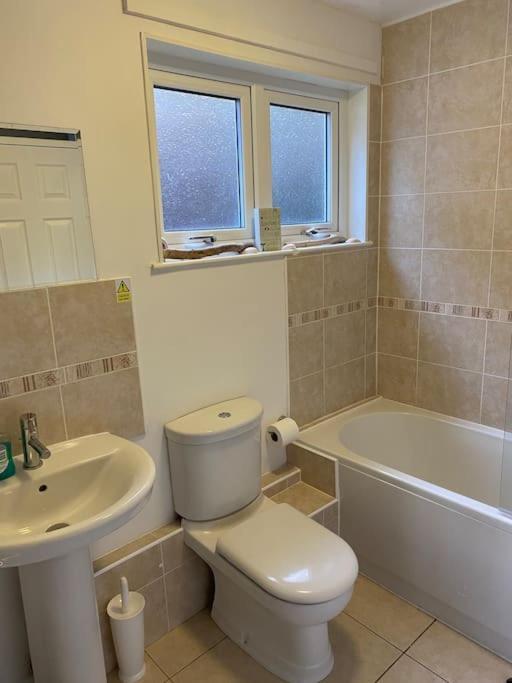 3 Bedroom Lodge With Hot Tub On Lovely Quiet Holiday Park In Cornwall Gunnislake Esterno foto